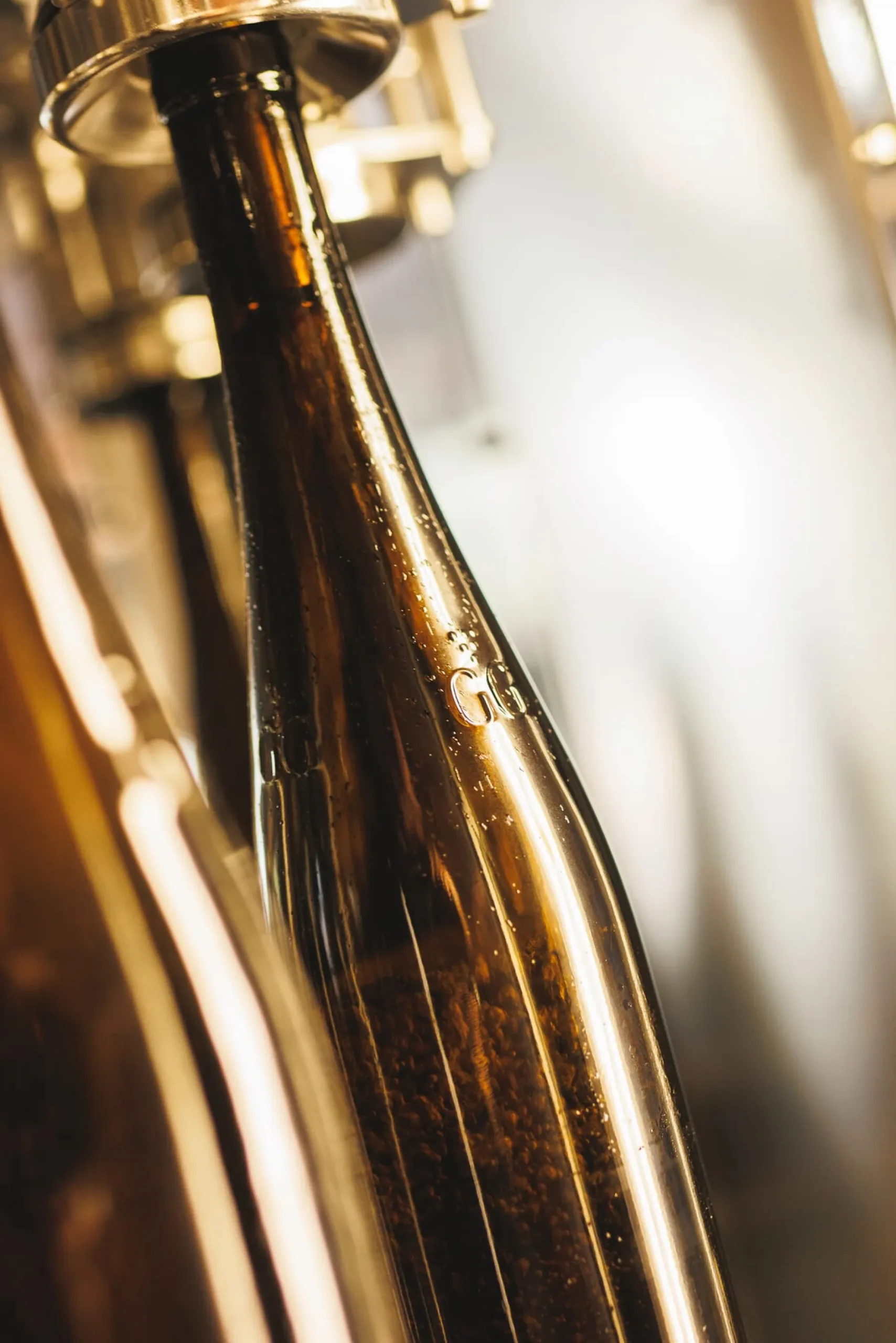 Weingut Winter Dittelsheim Chardonnay Discount