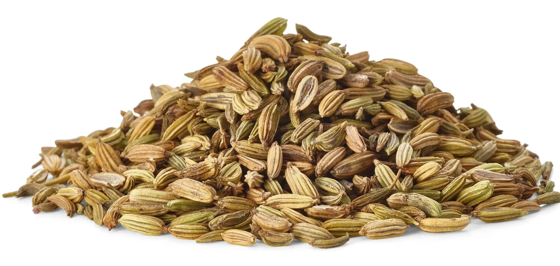 Daphnis and Chloe Duftende Fenchelsamen Best