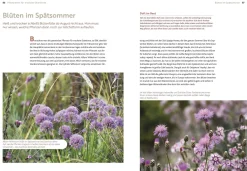 Ulmer Verlag Echte Hitzeprofis New