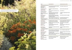 Ulmer Verlag Echte Hitzeprofis New