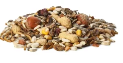 Claus Eichhörnchenfutter