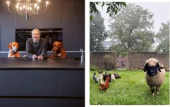 Becker Joest Volk Verlag Einfach zu gut Discount