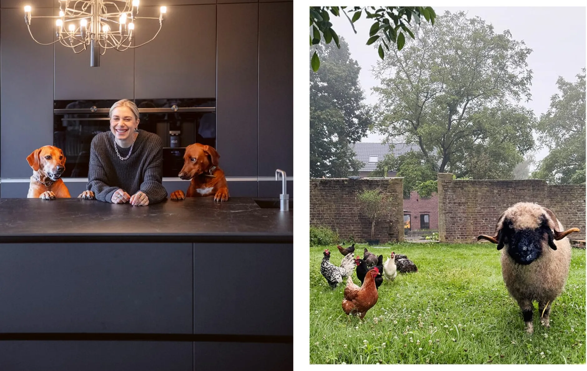 Becker Joest Volk Verlag Einfach zu gut Discount