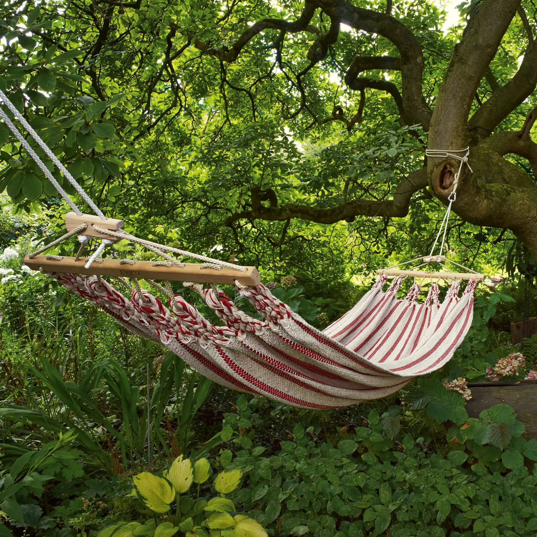 CHICO Hängematten Einzelhängematte Baumwolle Outlet