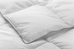 Heinrich Häussling Entendaunen-Bettdecke medium Outlet