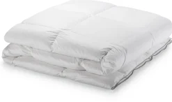 Heinrich Häussling Entendaunen-Bettdecke warm Hot