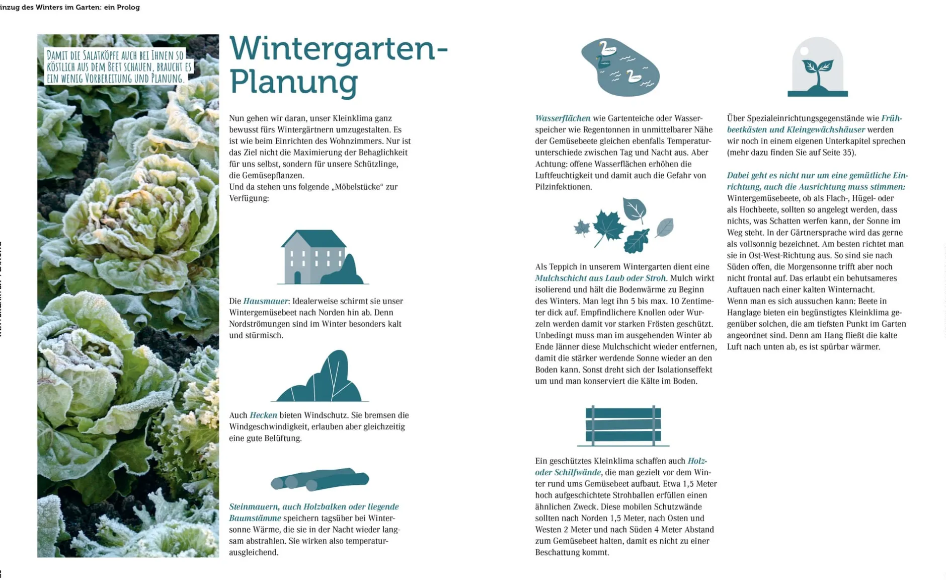 Löwenzahn Verlag Ernte mich im Winter