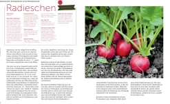 Löwenzahn Verlag Ernte mich im Winter