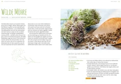 Ulmer Verlag Essbare Wildsamen Outlet