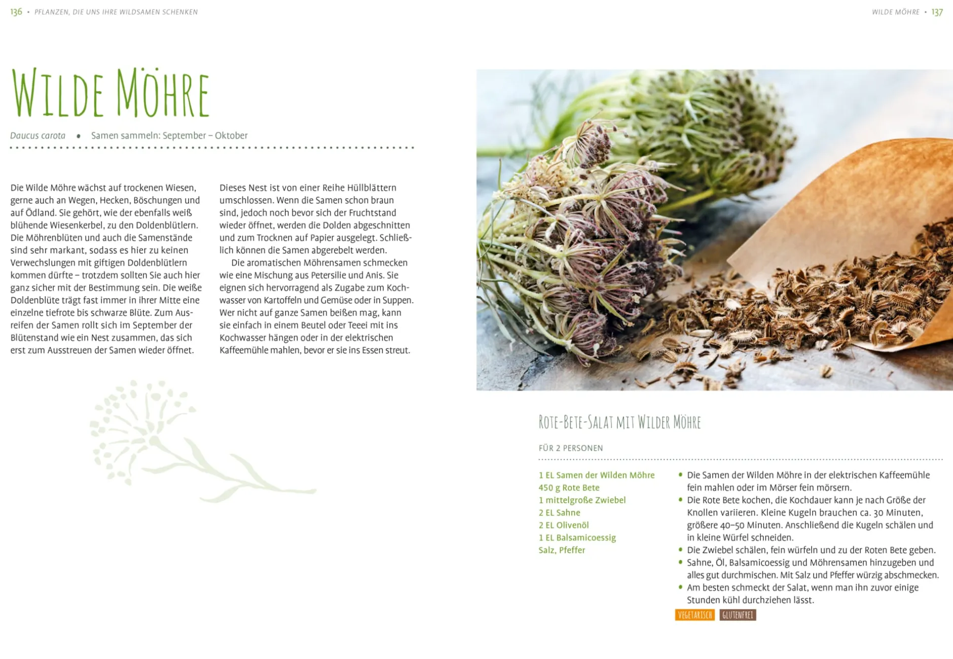 Ulmer Verlag Essbare Wildsamen Outlet