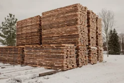 EcoFurnNet Oy Faltsessel Erlenholz Outlet