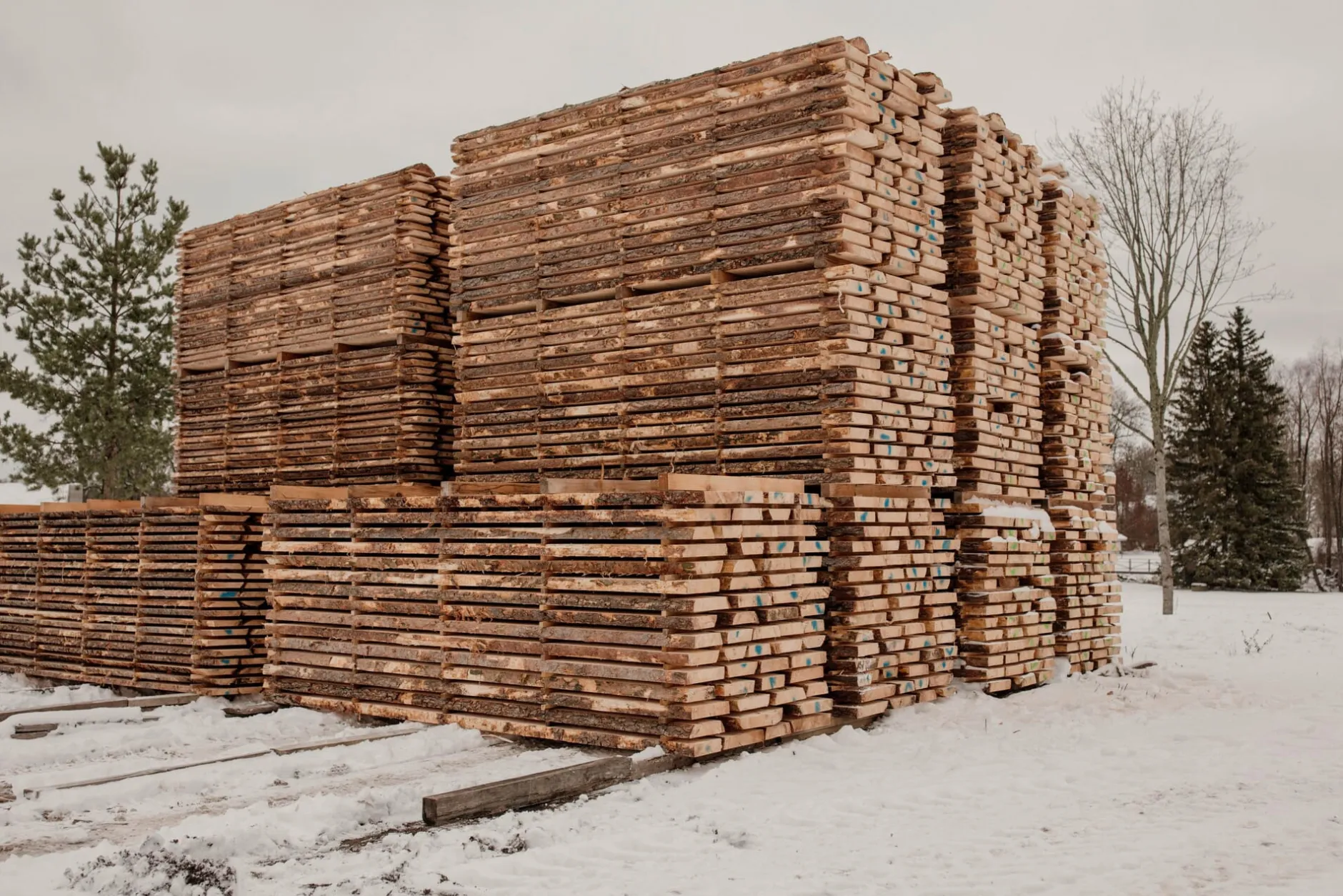 EcoFurnNet Oy Faltsessel Erlenholz Outlet