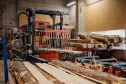 EcoFurnNet Oy Faltsessel Erlenholz Outlet