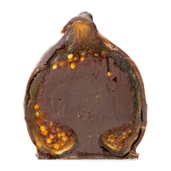 Ardau Weinimport Feigenpralinen Hot