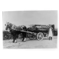 Fentimans Curiosity Cola Hot