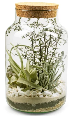 Jodeco Glass Flaschengarten mit Substrat Hot
