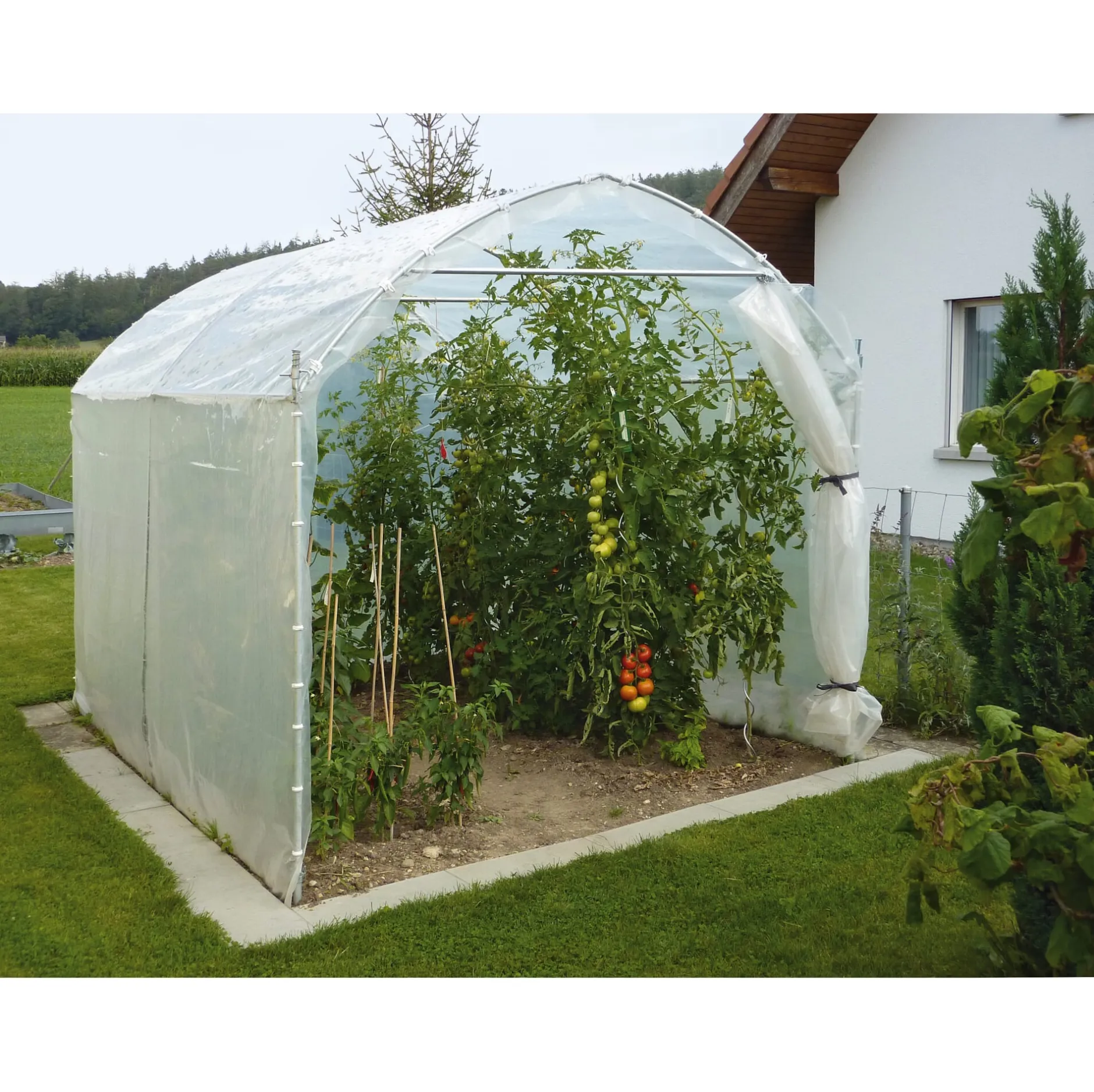 Brühwiler Maschinen Foliengewächshaus Stahlrahmen