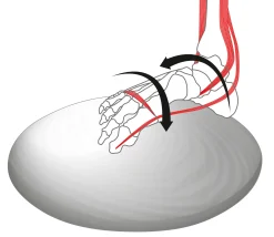 Holz-Hoerz Fuß- und Beinachsentrainer Hot
