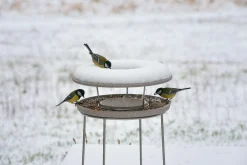 Denk Keramische Werkstätten Futterhaus Granitkeramik Hot