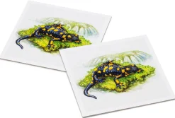 Quelle ＆ Meyer Verlag Gedächtnisspiel Natur Clearance