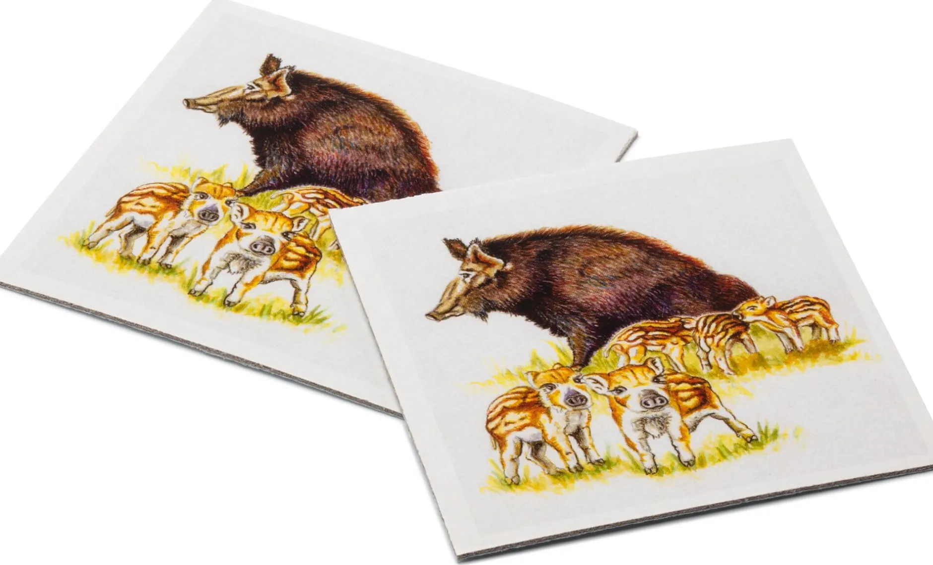 Quelle & Meyer Verlag Gedächtnisspiel Natur