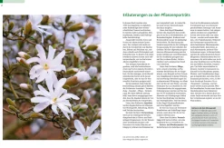 Ulmer Verlag Gehölze von A-Z Online