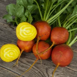 Bio-Jungpflanzen Wunderlich Gemüsejungpflanzen für das Hochbeet Set 1 und 2 Hot