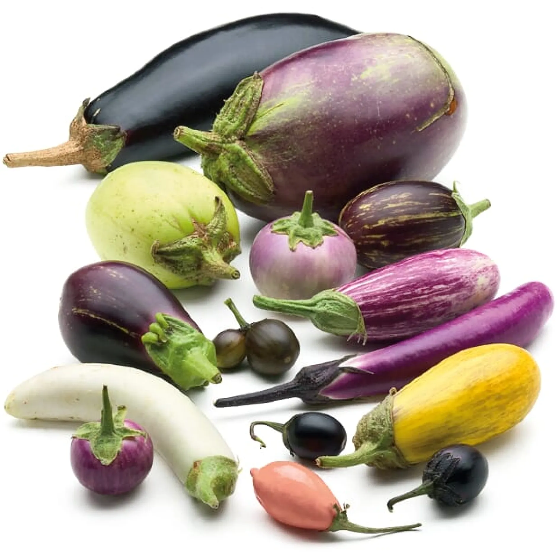 Samenarchiv Gerhard Bohl Gemüsesamen Balkonfruchtgemüse Sale