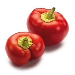 Manufactum Gemüsesamen Besondere Chilis und Paprika Discount