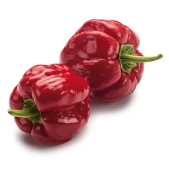 Manufactum Gemüsesamen Besondere Chilis und Paprika Discount