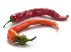 Manufactum Gemüsesamen Besondere Chilis und Paprika Discount