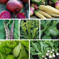 Manufactum Gemüsesamen Gemüsespezialitäten europäischer Regionen Sale