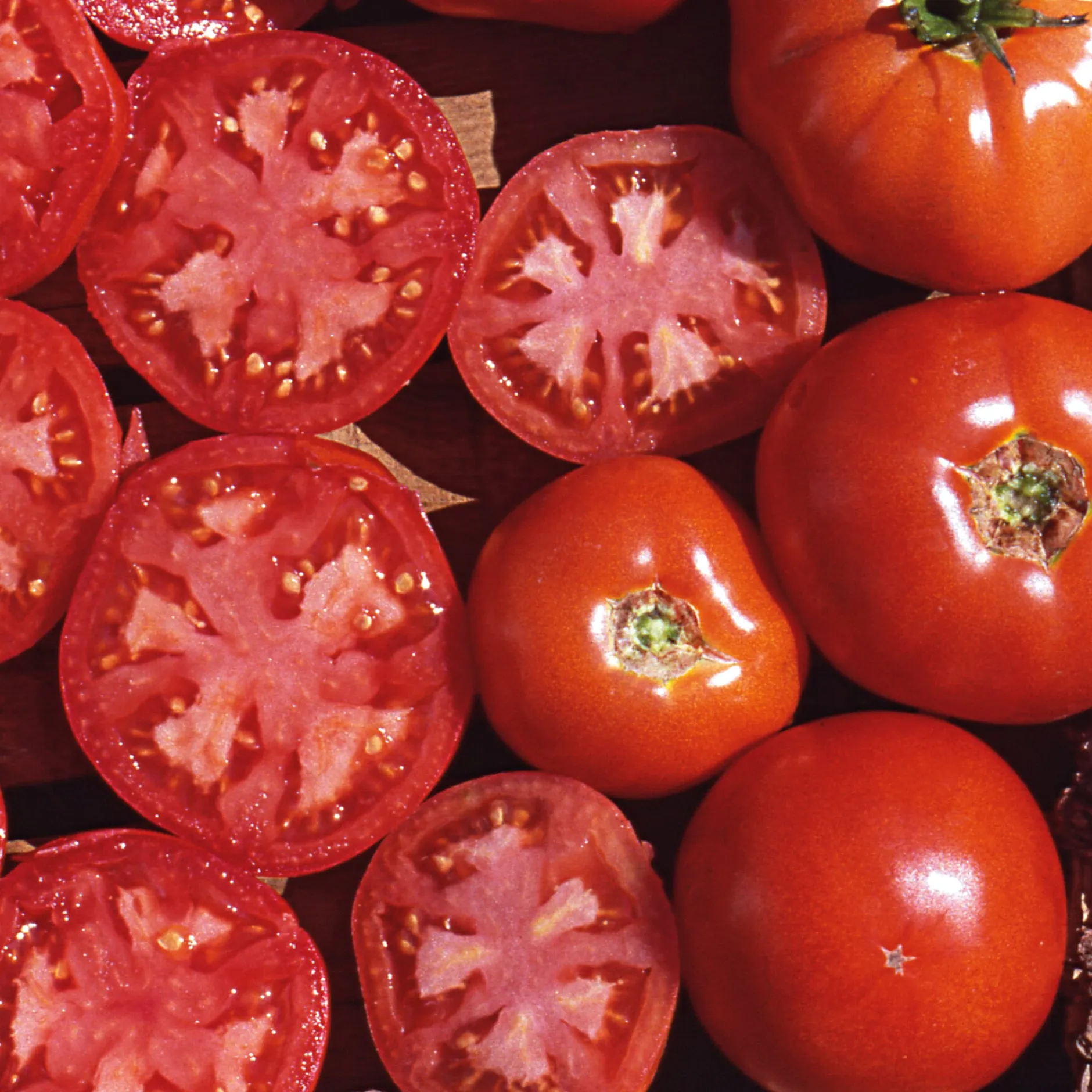 Samenarchiv Gerhard Bohl Gemüsesamen Tomaten in allen Farben