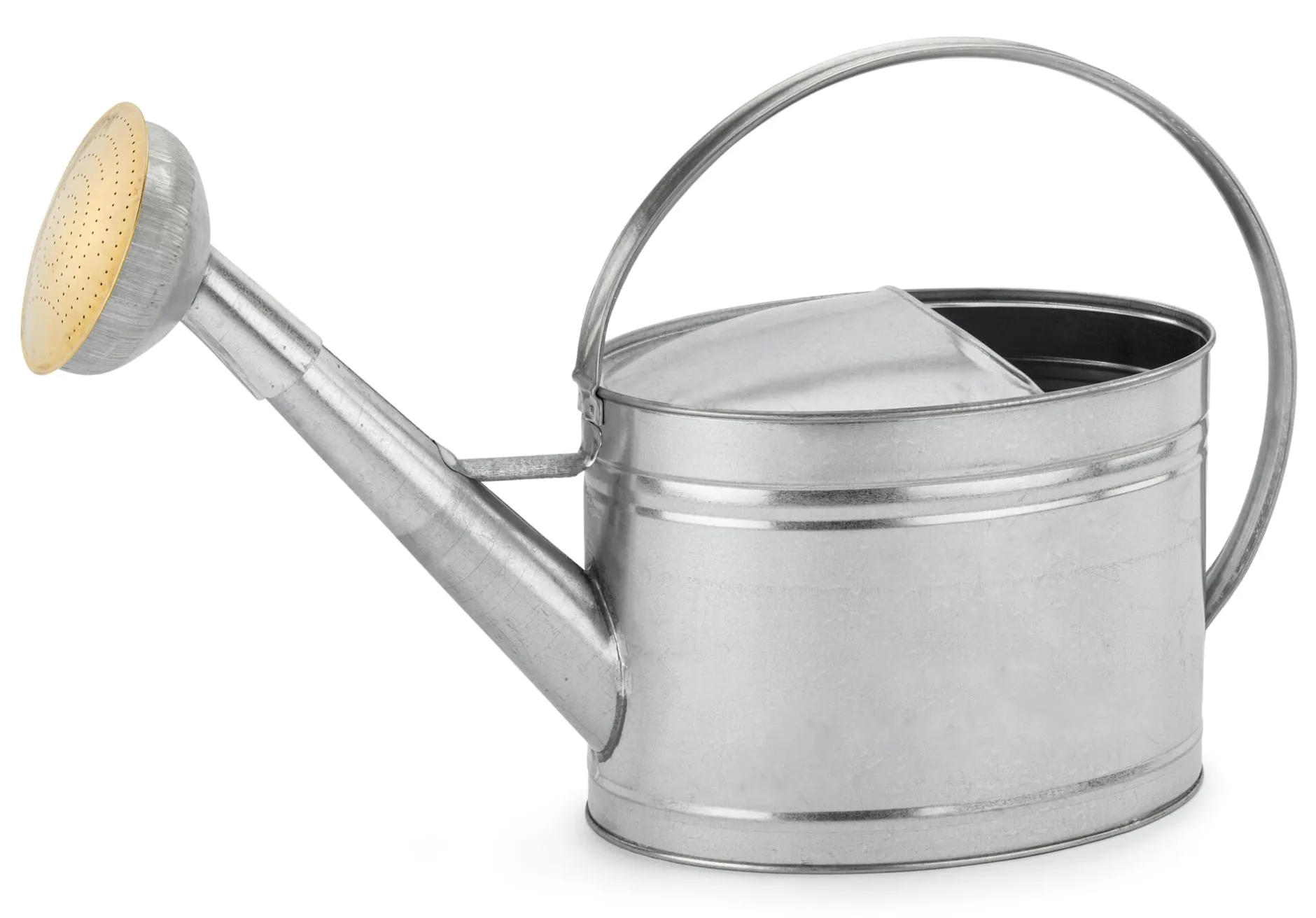 SAS Nogent Gießkanne verzinkt Clearance