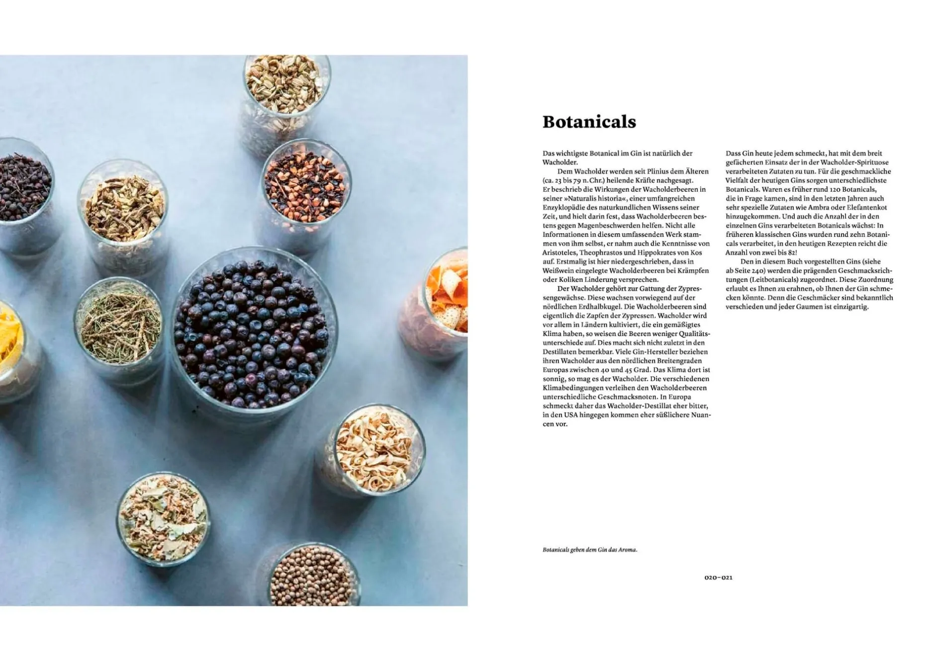 AT Verlag GIN - Das Buch. Herstellung Genuss Kultur. Discount