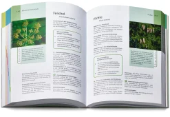 Gräfe und Unzer Verlag Grüne Apotheke. Das Standardwerk zur Pflanzenheilkunde Dr. Jörg Grünwald und Christof Jänicke