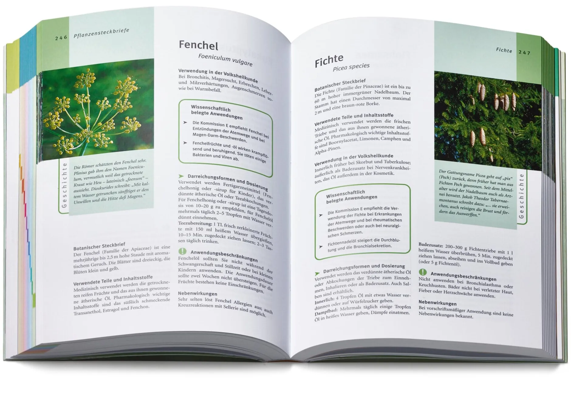 Gräfe und Unzer Verlag Grüne Apotheke. Das Standardwerk zur Pflanzenheilkunde Dr. Jörg Grünwald und Christof Jänicke