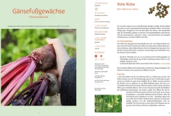 Löwenzahn Verlag Handbuch Samengärtnerei Online