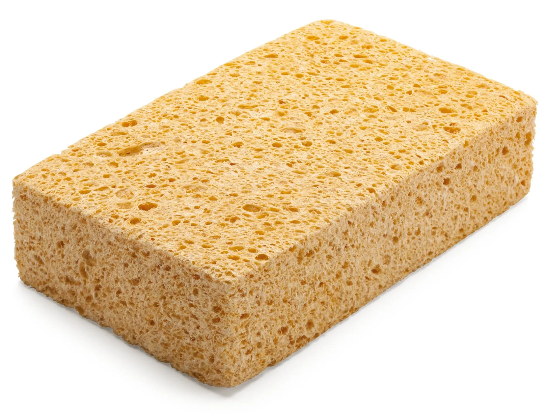 Lemmen Haushaltsschwamm Zellulose Clearance