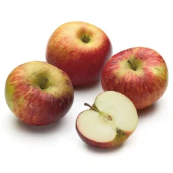 Martin Müller Baumschulen Herbstapfel 'Prinz Albrecht von Preußen' Discount