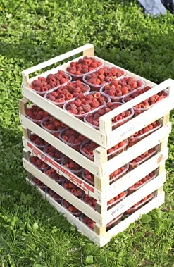 Karl Telfser Himbeer-Fruchtaufstrich aus Südtirol