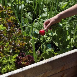 Estermeier Hochbeet Lärchenholz Best