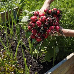 Estermeier Hochbeet Lärchenholz Best