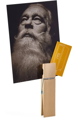 helo Heckelmann Holzklammer groß Clearance