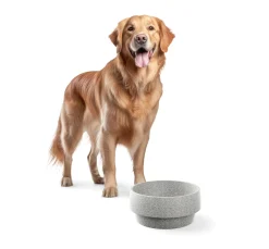 Denk Keramische Werkstätten Hundenapf Granitkeramik Outlet