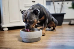 Denk Keramische Werkstätten Hundenapf Granitkeramik Outlet