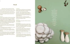 Christian Brandstätter Verlag Immer wieder vegan Sale