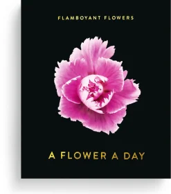 Seltmann Publishers Jahreskalender Flamboyant Flowers Outlet