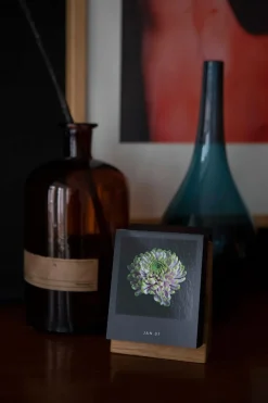 Seltmann Publishers Jahreskalender Flamboyant Flowers Outlet