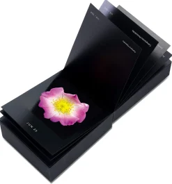 Seltmann Publishers Jahreskalender Flamboyant Flowers Outlet